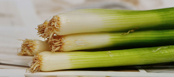 冬が旬の野菜、ネギ