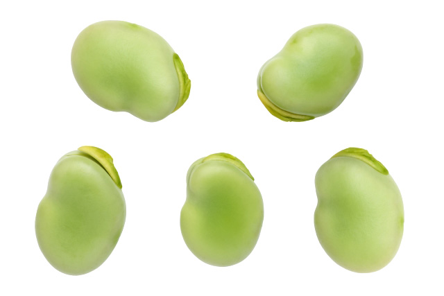 そら豆は色がキレイ!