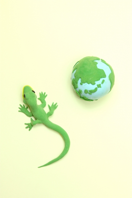 すぐには生えないとかげのしっぽ