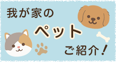 我が家のペットご紹介！
