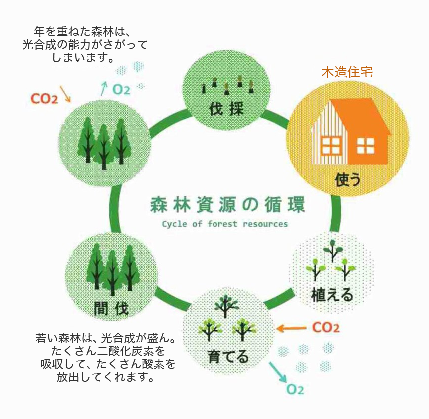 森林資源の循環